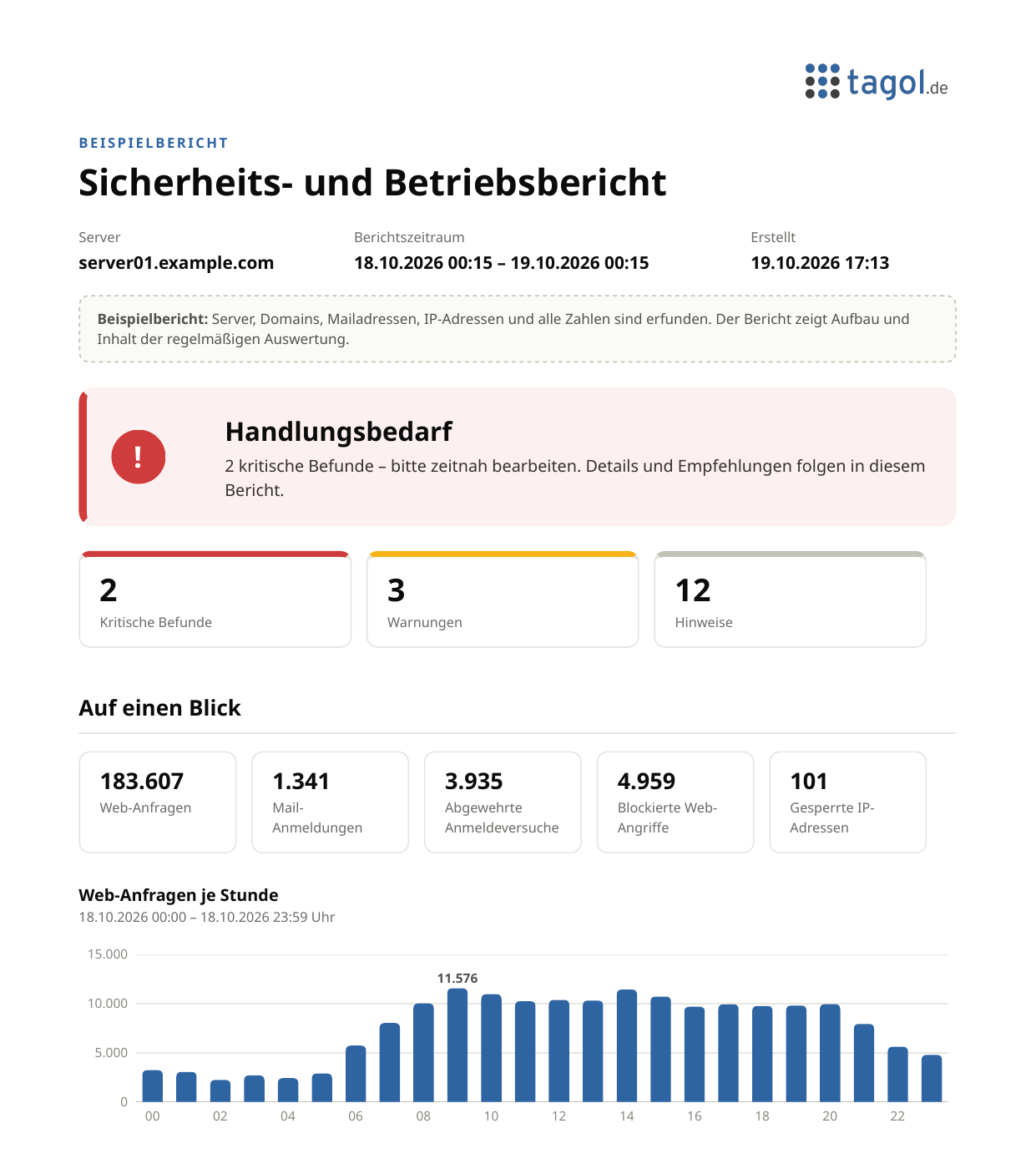 Erste Seite eines Beispielberichts der tagol Log-Zentrale