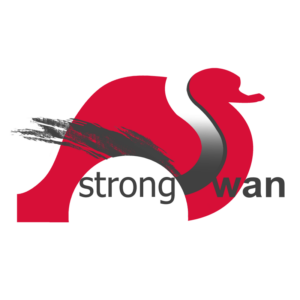 Mit strongswan IPsec unter Linux verwalten